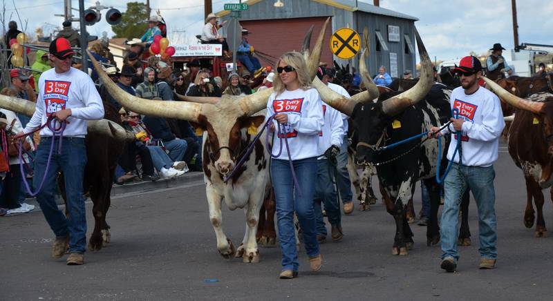 Gold Rush Days Wickenburg, AZ _23