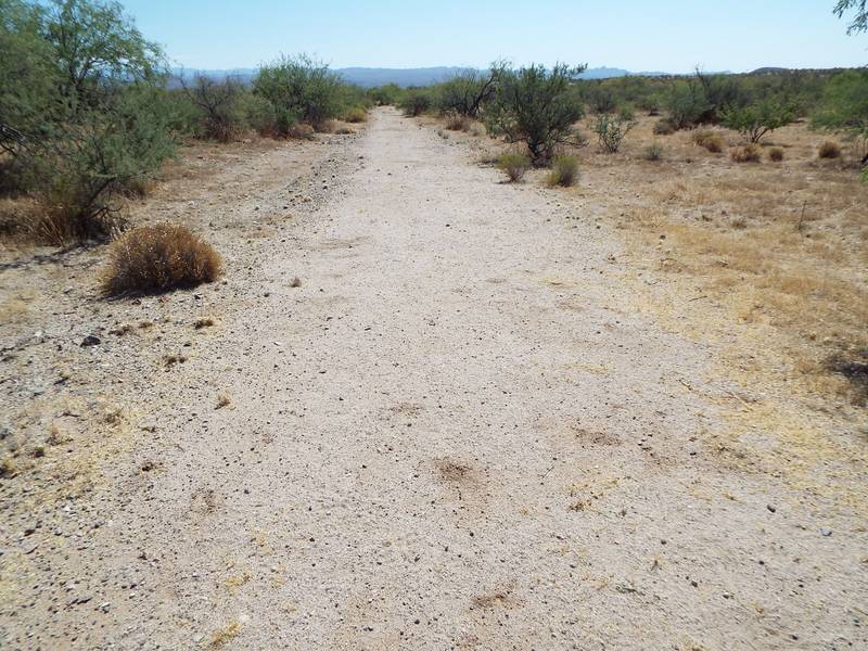 Old Stage Coach Road where the November 5, 1871, Wickenburg Massacre occurred.