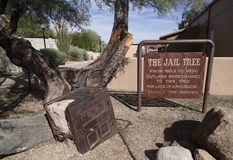 Sign telling the story of the Jail Tree, Wickenburg